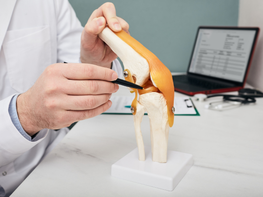 Meniscus Repair