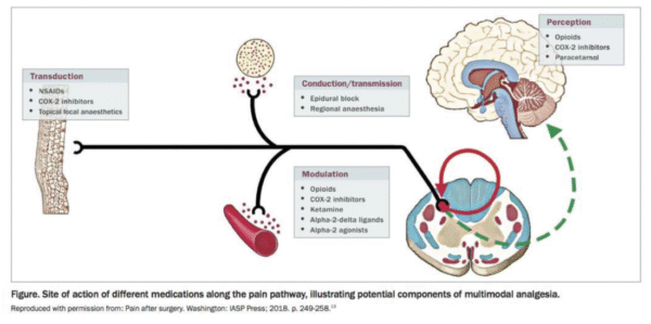 different medications diagram