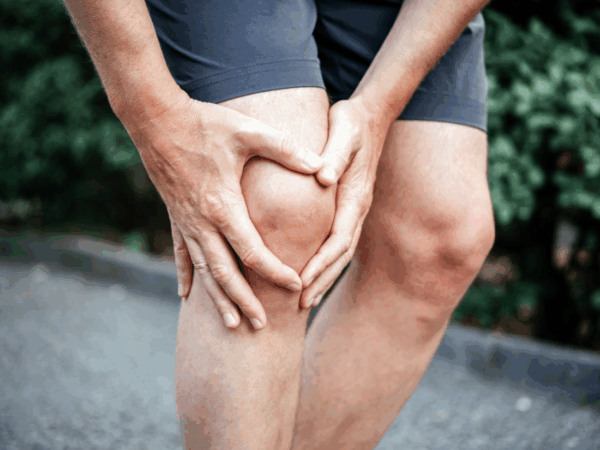 The Meniscus Anatomy - Hero Image