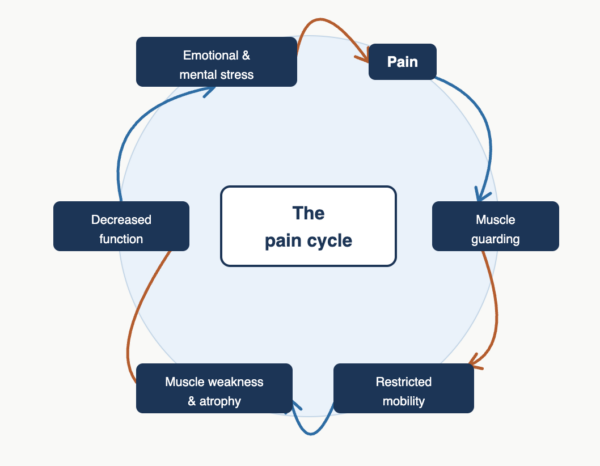 The Pain Cycle